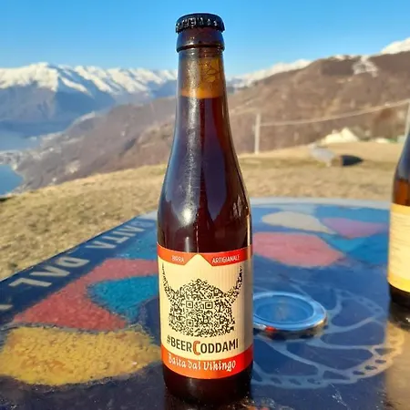 샬레 Dal Vikingo 소리코